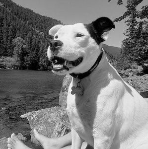 Meet your Posher, Ruth